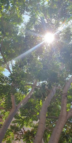 Al giardino di Cò
